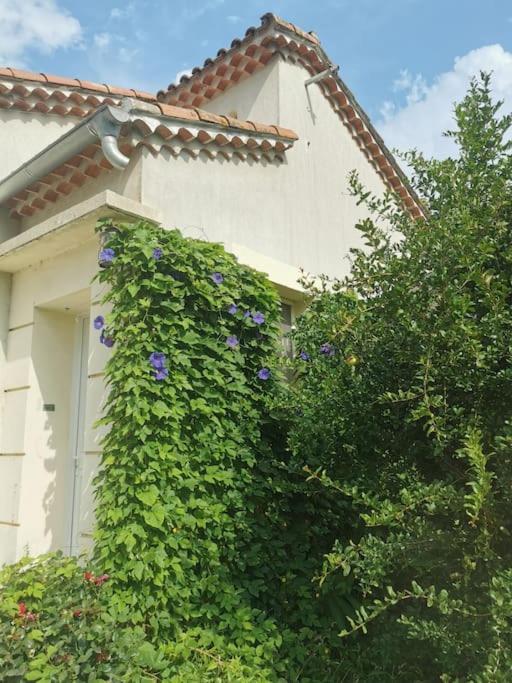 Maison Avec Piscine Dans Village Provencal. Courthezon Exterior photo